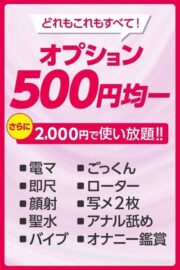 オプション500円！！