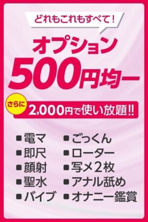 オプション500円！！